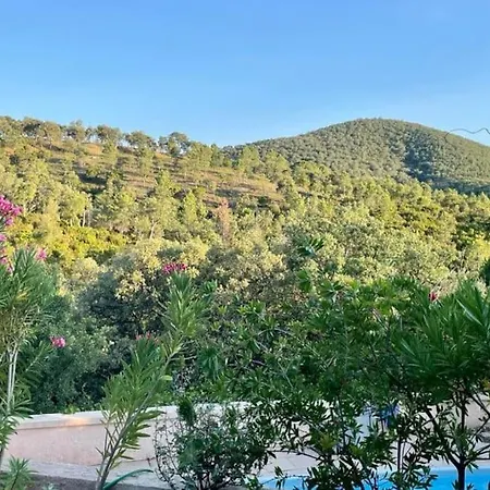 La Petite Maison Sur La Colline - Piscine Privee Holiday home La Londe-les-Maures