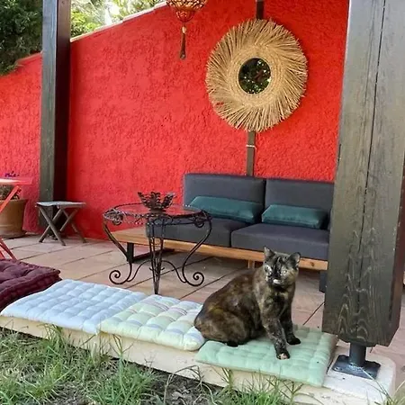 Holiday home La Petite Maison Sur La Colline - Piscine Privee *