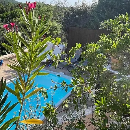 Holiday home La Petite Maison Sur La Colline - Piscine Privee La Londe-les-Maures